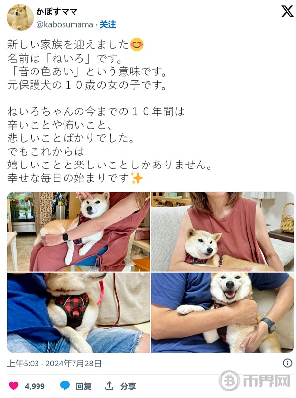 image.php?url=YD_cnt_136_01a3QVHLTFcl