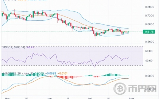 MATIC 有望爆发性上涨 163%？鲸鱼行为引发看涨希望图标