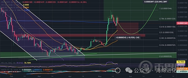 PEPE / USDT 1 日圖，潛在回調。資料來源：TradingView / Binance。