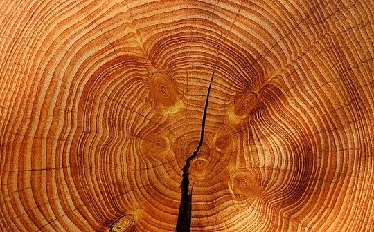 2025年11月市场分析：比特币抛售、贵金属热潮与股市动态