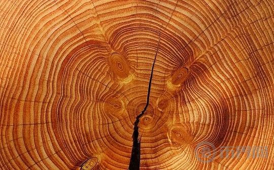 2025年11月市场分析：比特币抛售、贵金属热潮与股市动态