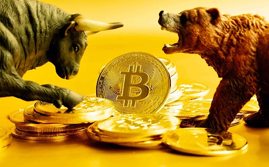 加密市场熊出没？看看业内人士怎么说