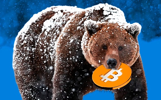 行情不断走低 巨鲸、DAT、ETF们都怎么样了？