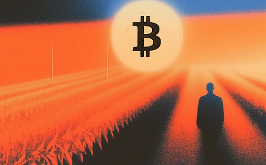 谁在维护这个2万亿美元的网络？——解读1A1z比特币开发资金报告