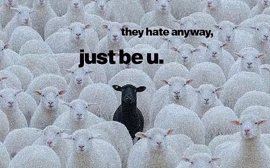 在加密行业待的时间是不是浪费了人生？